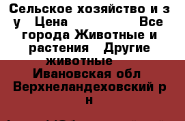 Сельское хозяйство и з/у › Цена ­ 2 500 000 - Все города Животные и растения » Другие животные   . Ивановская обл.,Верхнеландеховский р-н